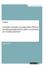 Suizidale Gedanken im Jugendalter. Welche Handlungsmöglichkeiten gibt es innerhalb der Schulsozialarbeit?