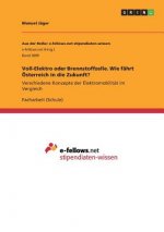 Voll-Elektro oder Brennstoffzelle. Wie fährt Österreich in die Zukunft?