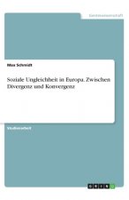 Soziale Ungleichheit in Europa. Zwischen Divergenz und Konvergenz