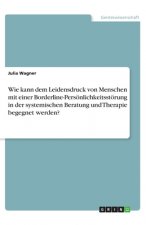 Wie kann dem Leidensdruck von Menschen mit einer Borderline-Persönlichkeitsstörung in der systemischen Beratung und Therapie begegnet werden?