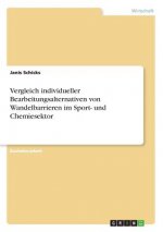 Vergleich individueller Bearbeitungsalternativen von Wandelbarrieren im Sport- und Chemiesektor