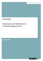 Emotionen der Mitarbeiter in Veränderungsprozessen