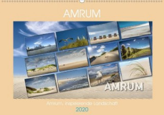 Amrum, inspirierende Landschaft (Wandkalender 2020 DIN A2 quer)