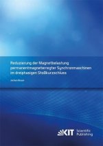 Reduzierung der Magnetbelastung permanentmagneterregter Synchronmaschinen im dreiphasigen Stoßkurzschluss