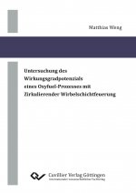 Untersuchung des Wirkungsgradpotenzials eines Oxyfuel-Prozesses mit Zirkulierender Wirbelschichtfeuerung