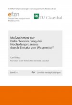 Maßnahmen zur Dekarbonisierung des Hochofenprozesses durch Einsatz von Wasserstoff