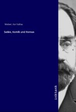 Satire, Komik und Roman