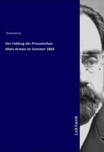 Der Feldzug der Preussischen Main-Armee im Sommer 1866