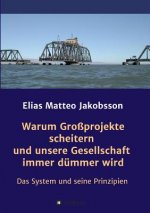 Warum Großprojekte scheitern und unsere Gesellschaft immer dümmer wird