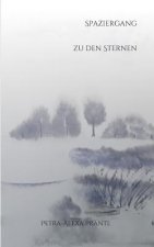 Spaziergang zu den Sternen