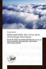 Heterogeneites des cirrus dans l'infrarouge thermique