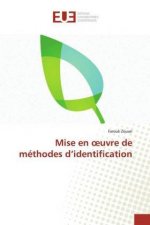 Mise en ?uvre de méthodes d?identification