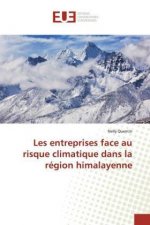 Les entreprises face au risque climatique dans la région himalayenne