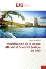 Modélisation de la nappe Alluvial d?Oued Nil (wilaya de Jijel)