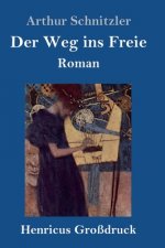 Weg ins Freie (Grossdruck)