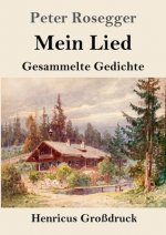 Mein Lied (Grossdruck)