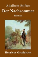 Nachsommer (Grossdruck)