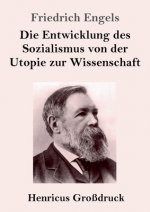 Entwicklung des Sozialismus von der Utopie zur Wissenschaft (Grossdruck)