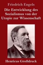 Entwicklung des Sozialismus von der Utopie zur Wissenschaft (Grossdruck)