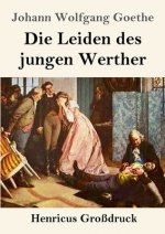 Leiden des jungen Werther (Grossdruck)