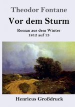 Vor dem Sturm (Grossdruck)