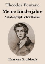 Meine Kinderjahre (Grossdruck)