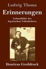 Erinnerungen (Grossdruck)