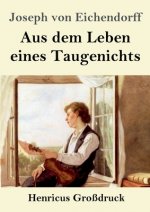 Aus dem Leben eines Taugenichts (Grossdruck)