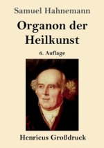 Organon der Heilkunst (Grossdruck)