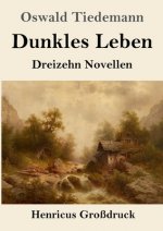 Dunkles Leben (Grossdruck)