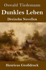 Dunkles Leben (Grossdruck)