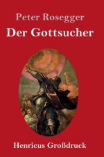 Der Gottsucher (Grossdruck)