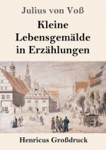 Kleine Lebensgemalde in Erzahlungen (Grossdruck)