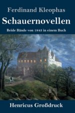 Schauernovellen (Grossdruck)