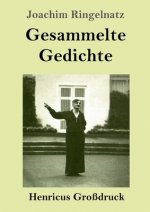 Gesammelte Gedichte (Grossdruck)