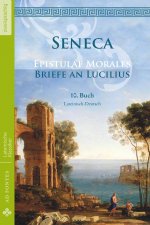 Briefe an Lucilius / Epistulae morales (Lateinisch / Deutsch)