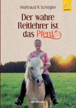 Der wahre Reitlehrer ist das Pferd