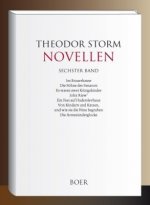 Novellen sechster Band