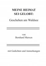 Meine Heimat sei gelobt: Geschehen am Waldsee