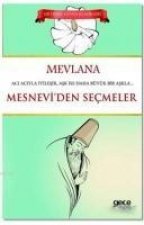 Mesnevi den Secmeler