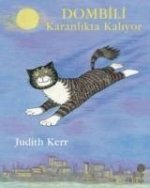 Dombili Karanlikta Kaliyor