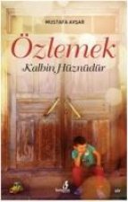 Özlemek Kalbin Hüznüdür
