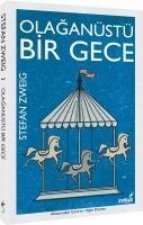 Olaganüstü Bir Gece