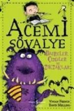 Daireler, Cizgiler ve Zikzaklar - Acemi Sövalye