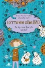 Lottanin Günlügü Bu Is Nasil Karisti Böyle