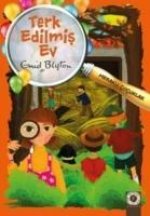 Terk Edilmis