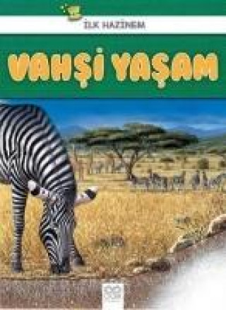 Vahsi Yasam - Ilk Hazinem