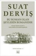 Bu Roman Olan Seylerin Romanidir