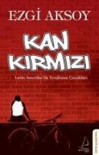 Kan Kirmizi