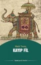 Kayip Dil